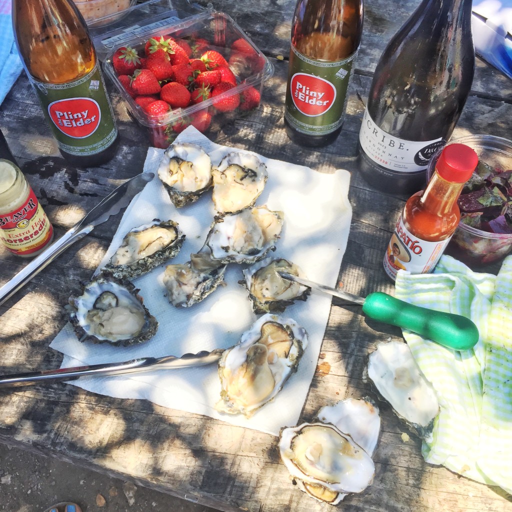 tomales bay oysters